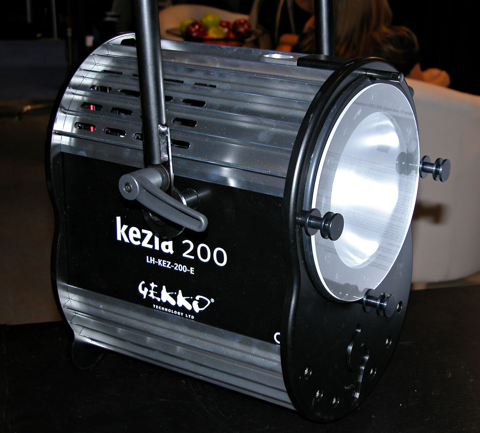 B_0610_Gekko_Kezia