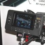 Ikan: Director