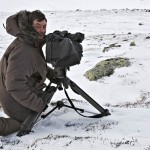 Menschen und Moschusrinder: Winter-Doku mit P2