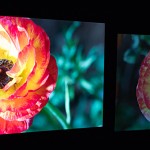 NAB2014: Dolby Vision — mehr Bildqualität beim Endkunden