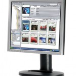 Avid liefert Interplay aus