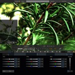 Assimilate: Scratch Play