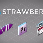 IBC2012: Projektverwaltung mit Strawberry