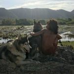 »Mythos Wolfskind«: Terra X-Doku in 4K und mit 360°-Angebot