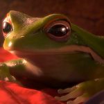 Animago Awards 2016 verliehen