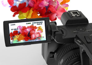 Camcorder Sony PXW-Z150, Detail Ausklappschirm