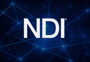 NDI, Logo