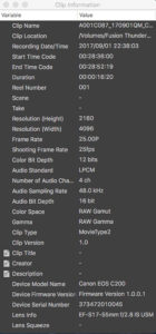 Canon, C200, Screenshot, Cinema Raw Deleopment