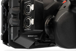 Kamera, Panasonic EVA1, XLR-Buchsen