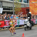 Avid Maestro Designer bei den European Championships