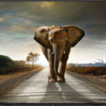 IBC2018: So richtig scharf – Sharp 8K-Monitor bei G&D