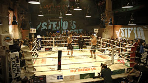 Kickboxen, Steko's Fight Night, NEP, Arri, 7Sports, On-Air-Bild