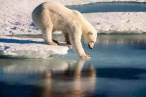 © UFA/Mario Hoppmann, Arctic Drift