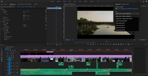 Premiere Pro