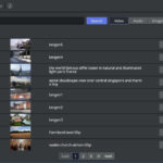 Viz Story, Viz One: enger mit Premiere Pro