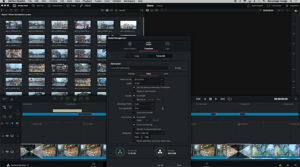 DaVinci Resolve 17