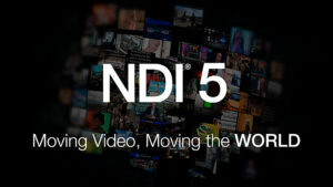 NDI, Logo