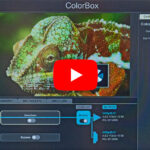 IBC2022-Video zu ColorBox von Aja