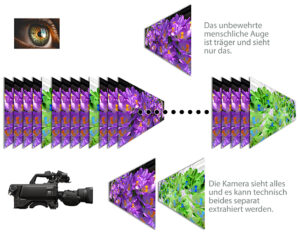 Grafik, © Nonkonform