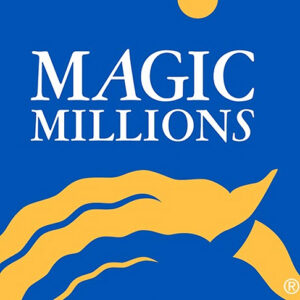 Magic Millions, Logo