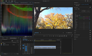 Adobe, Premiere, Update