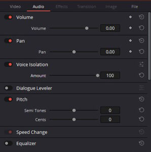 Screenshot, DaVinci Resolve, Voice Isolation, © Sas Kaykha