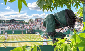 Wimbledon, © ACS