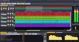 Acon Digital, Acoustica, Multitrack Session