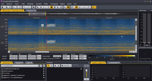 Acon Digital, Acoustica, Spectral Editor