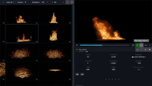 Asset-Library-Software, Das Element, Screenshot