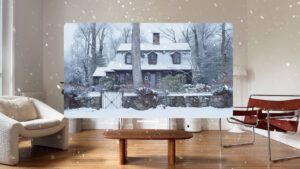 ©Blackmagic Design, Targo